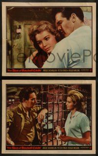 4f418 SINS OF RACHEL CADE 8 LCs '60 Angie Dickinson finds forbidden love in Africa!