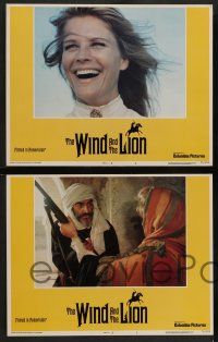 4f586 WIND & THE LION 6 LCs '75 Sean Connery & sexy Candice Bergen, directed by John Milius!