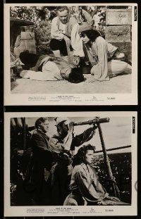 4h675 ANNE OF THE INDIES 8 8x10 stills '51 history's fabulous pirate queen Jean Peters!