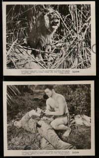 4h335 LION HUNTERS 15 8x10 stills '51 Johnny Sheffield & Woody Strode w/Bomba in Africa!