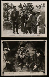 4h115 LOOTERS 24 8x10 stills '55 Rory Calhoun, Ray Danton & Julie Adams are trapped on a mountain!