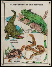 4j415 CLASIFICACION DE LOS REPTILES 27x35 Mexican special '70s art of crocodile, iguana, more!