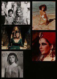4m215 LOT OF 5 ELIZABETH TAYLOR COLOR AND BLACK & WHITE REPRO 8x10 STILLS '80s classic images!