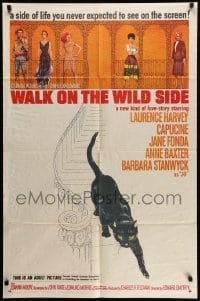 4p958 WALK ON THE WILD SIDE 1sh '62 cool artwork of black cat on stairs & sexy stars on balcony!