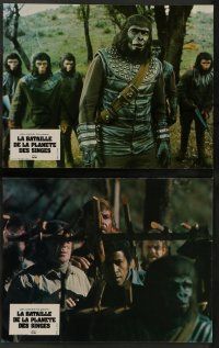 4r817 BATTLE FOR THE PLANET OF THE APES 9 style B French LCs '73 sci-fi war between apes & humans!