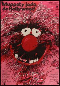 4t960 MUPPETS GO HOLLYWOOD Polish 27x39 '82 Jim Henson, artwork of Animal by Waldemar Swierzy!