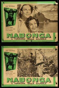 4t326 NABONGA set of 2 Italian 19x26 pbustas R59 Buster Crabbe, different art of giant gorilla!