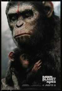 4w218 DAWN OF THE PLANET OF THE APES style B teaser DS 1sh '14 close-up of Caesar w/ his son!