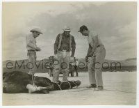 4x633 MISFITS 7.5x9.5 still '61 Marilyn Monroe watches Gable, Clift & Wallach with tied up horse!