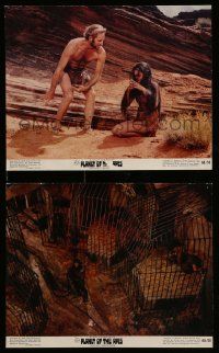 5d971 PLANET OF THE APES 2 color 8x10 stills '68 Charlton Heston and Linda Harrison!