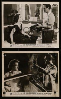 5d696 CHASE A CROOKED SHADOW 5 8x10 stills '58 Anne Baxter, Richard Todd, it makes mystery history!
