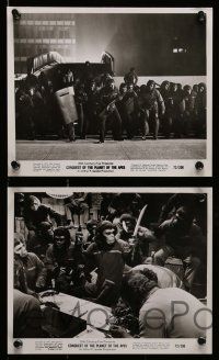 5d628 CONQUEST OF THE PLANET OF THE APES 6 8x10 stills '72 great images of apes & humans!