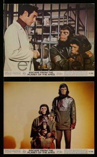 5d061 ESCAPE FROM THE PLANET OF THE APES 5 color 8x10 stills '71 Baby Milo has Washington terrified