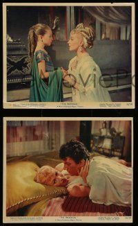 5d880 PRODIGAL 3 color 8x10 stills '55 great images of sexiest Lana Turner Edmund Purdom!