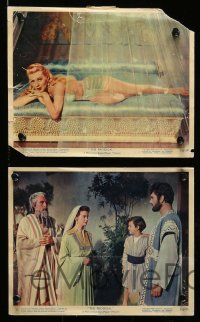 5d045 PRODIGAL 7 color 8x10 stills '55 sexiest Biblical Lana Turner & Edmond Purdom!