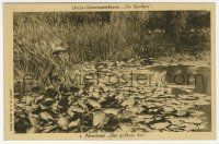 5h105 DIE SPINNEN 1. TEIL DER GOLDENE SEE German Ross postcard '19 Carl de Vogt in Golden Lake!