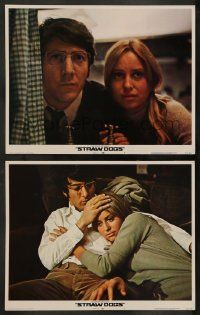 5k976 STRAW DOGS 2 LCs '72 directed by Sam Peckinpah, Dustin Hoffman & Susan George!