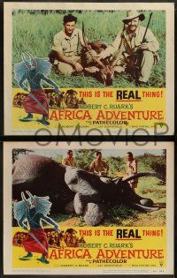 5k030 AFRICA ADVENTURE 8 LCs '54 this is the REAL Africa, the living jungle, wild animal images!