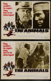 5k038 ANIMALS 8 LCs '70 native American Indian Henry Silva, grizzled Keenan Wynn, Michele Carey!