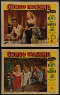 5k717 CONGO CROSSING 5 LCs '56 sexy Virginia Mayo & George Nader in African adventure!