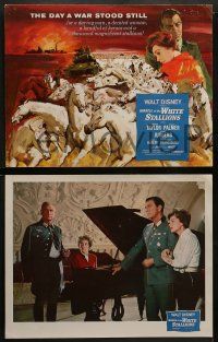 5k018 MIRACLE OF THE WHITE STALLIONS 9 LCs '63 Walt Disney, Robert Taylor, Lipizzaners!