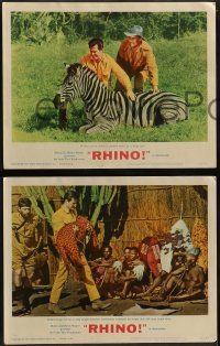 5k468 RHINO 8 LCs '64 Robert Culp & Shirley Eaton risk their lives in Africa to save it!