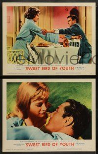 5k564 SWEET BIRD OF YOUTH 8 LCs '62 Paul Newman & Geraldine Page, from Tennessee Williams' play!