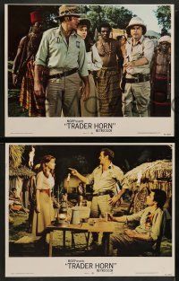 5k593 TRADER HORN 8 LCs '73 Rod Taylor & Anne Heywood in the African jungle!