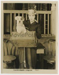 5m309 DOG'S LIFE 8x10.25 still R20s great portrait of Edna Purviance carrying the cute dog!