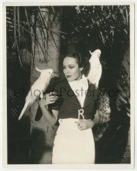 5m481 IN CALIENTE 8x10 still '35 Dolores del Rio posing with a pair of Spanish-speaking Cockatoos!