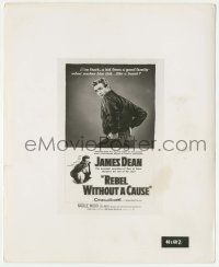 5m760 REBEL WITHOUT A CAUSE 8x10 still '55 great image of James Dean on the 40x60!