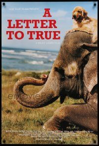 5t700 LETTER TO TRUE 24x36 special '04 Bruce Weber, cool image of dog sitting on elephant!