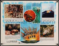 5t744 SECRETS OF LIFE 21x27 special '56 Disney's amazing & miraculous True Life Adventure feature!