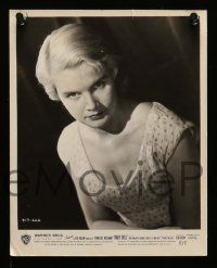 5x158 CARROLL BAKER 17 8x10 stills '50s-80s cool portraits of the star from a variety of roles!