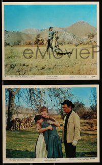 5x047 CATTLE KING 5 color 8x10 stills '63 western cowboy Robert Taylor, Joan Caulfield!