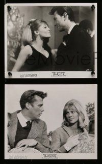 5x400 DARLING 9 8x10 stills '65 Schlesinger, great images of sexy Julie Christie, Dirk Bogarde!
