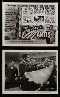 5x401 DEADLY MANTIS 9 8x10 stills '57 Craig Stevens, Alix Talton, great poster artwork on one!
