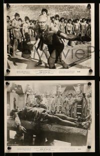5x485 KINGS OF THE SUN 8 8x10 stills '63 images of Mayan Yul Brynner, Chakiris, Shirley Anne Field!