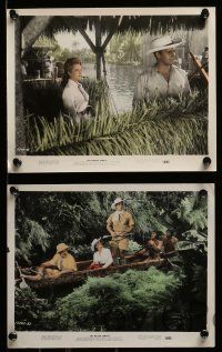 5x036 NAKED JUNGLE 7 color 8x10 stills '54 Charlton Heston & Eleanor Parker, William Conrad, G. Pal!