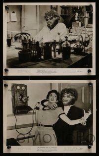 5x691 NEANDERTHAL MAN 5 8x10 stills '53 great wacky images, nothing could keep him from his woman!