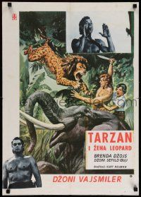 5y617 TARZAN & THE LEOPARD WOMAN Yugoslavian 19x28 '60s art of Johnny Weissmuller fighting lion!