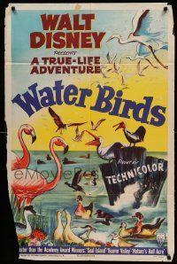 6b936 WATER BIRDS style A 1sh '52 Walt Disney True Life Adventure, Pelicans & other avians!
