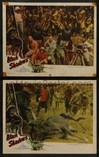 6c889 BLACK SHADOWS 2 LCs '49 African jungle, cool images from documentary!