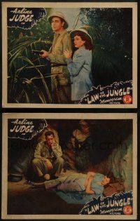 6c940 LAW OF THE JUNGLE 2 LCs '42 sexiest Arline Judge and wacky John King in Africa!