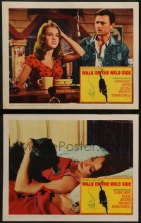 6c995 WALK ON THE WILD SIDE 2 LCs '62 great images of sexy Jane Fonda, Laurence Harvey!