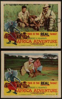6c032 AFRICA ADVENTURE 8 LCs '54 this is the REAL Africa, the living jungle, wild animal images!