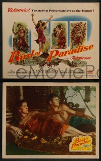 6c071 BIRD OF PARADISE 8 LCs '51 barechested Louis Jourdan & tropical sexy Debra Paget!