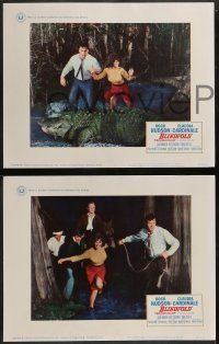 6c075 BLINDFOLD 8 LCs '66 Rock Hudson, Claudia Cardinale, Jack Warden!