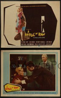 6c205 HATFUL OF RAIN 8 LCs '57 Fred Zinnemann early drug classic, Eva Marie Saint & Don Murray!