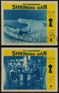 6c812 INCREDIBLE SHRINKING MAN 3 LCs R64 Jack Arnold, Grant Williams, cool special effects images!